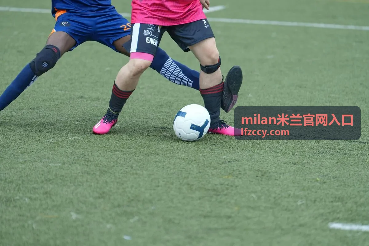 milan米兰官网入口网页浏览示意